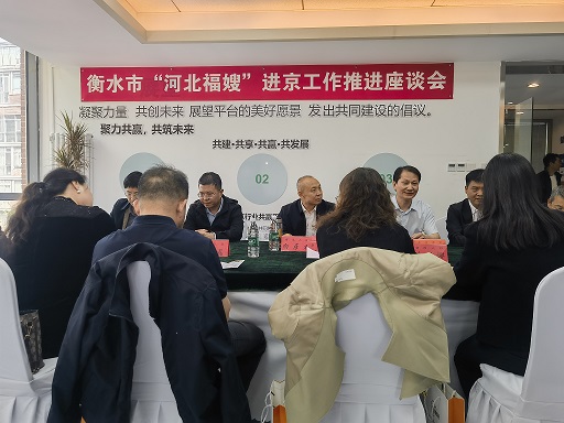 总经理参加河北福嫂进京就业推进座谈会